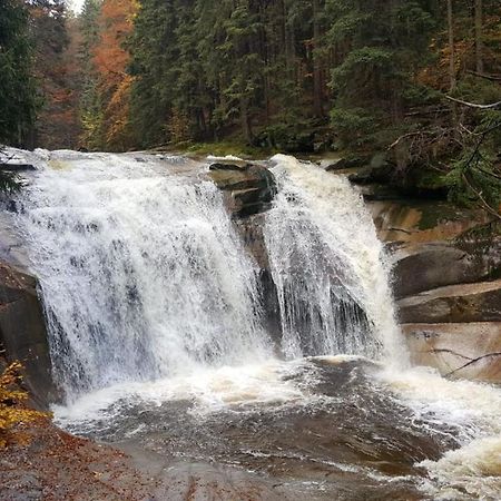 Chalupa 387 Harrachov Dış mekan fotoğraf