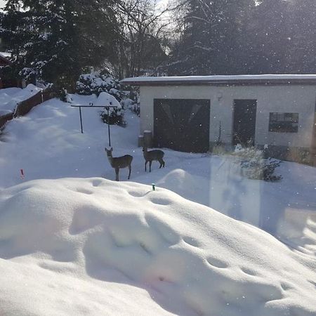 Chalupa 387 Harrachov Dış mekan fotoğraf