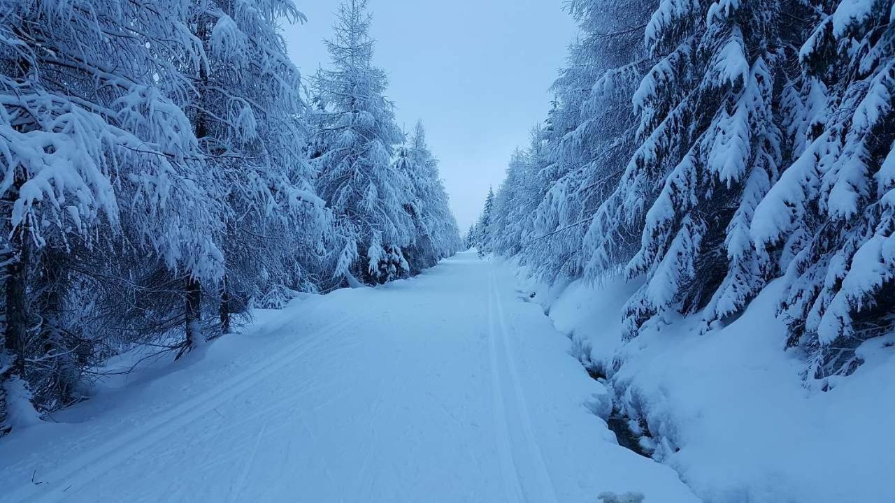 Chalupa 387 Harrachov Dış mekan fotoğraf