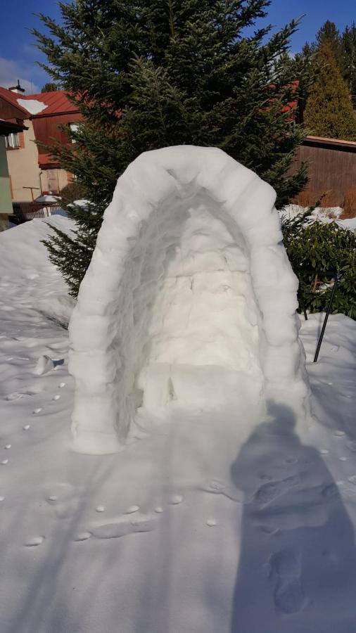 Chalupa 387 Harrachov Dış mekan fotoğraf