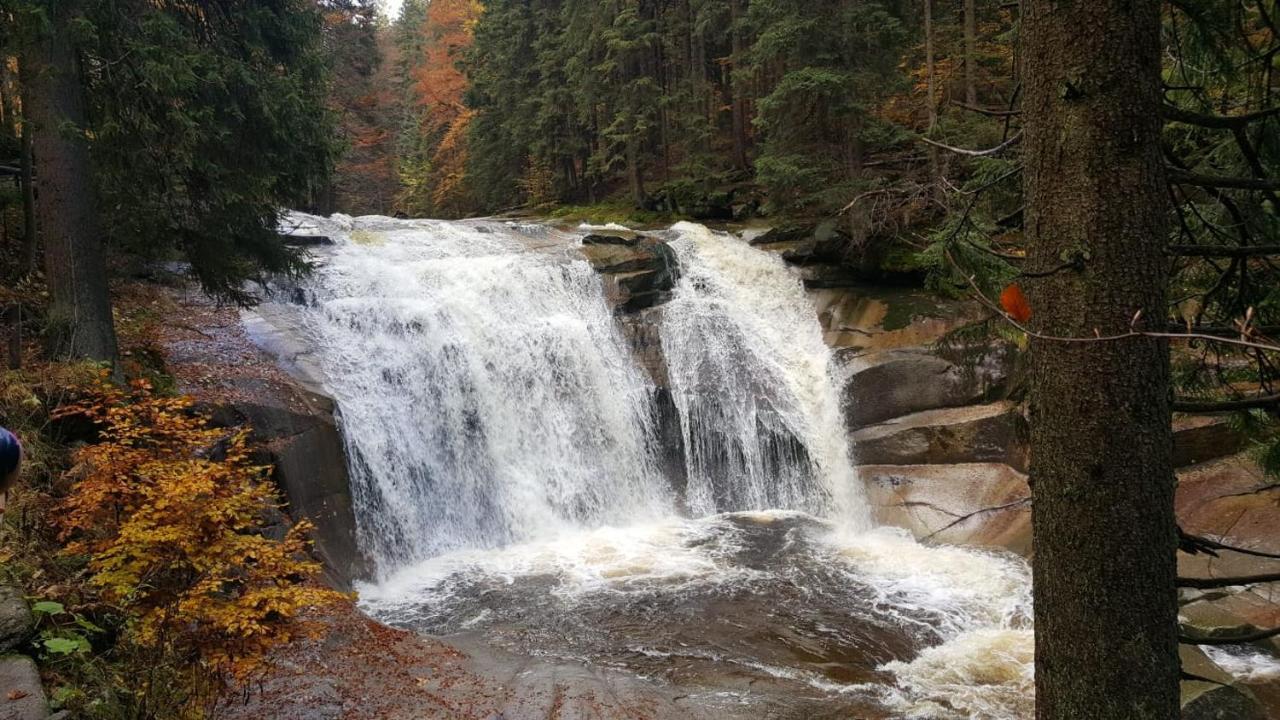 Chalupa 387 Harrachov Dış mekan fotoğraf