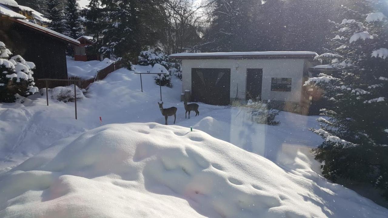 Chalupa 387 Harrachov Dış mekan fotoğraf